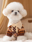White Bichon Frise dog wearing a brown and orange striped knit sweater with a collared neckline and lace-up detail.