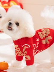 Side view of a white Bichon Frise dog wearing a festive red knit sweater.