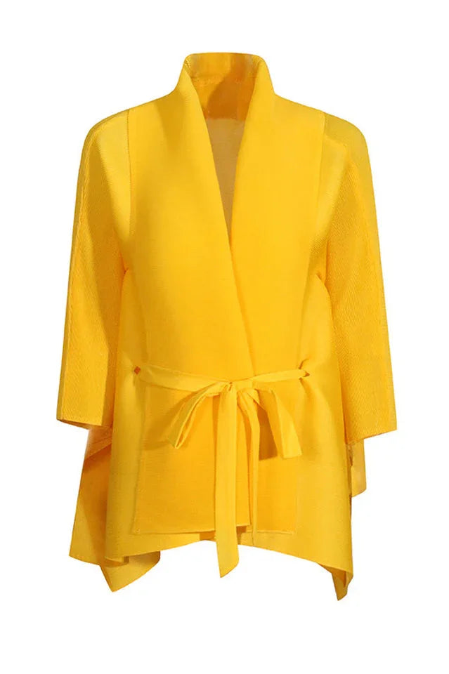 Ombre pleated two piece set - View 10 | TEVQA
