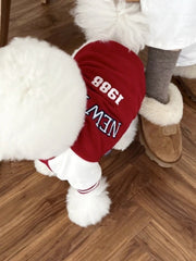 Close-up of the back of a white poodle wearing a red baseball jacket with 'New York 1988' on the back.