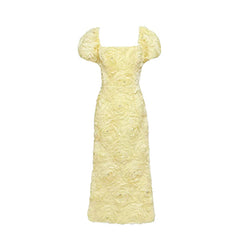 Molly Floral Applique Midi Dress | Dress In Beauty