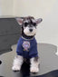 Mini Schnauzer puppy wearing a navy blue sweatshirt with a pink monster graphic on the front and a chain detail around its neck, sitting on a black table.