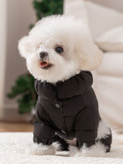 White bichon frise dog wearing a black puffer coat with a hood