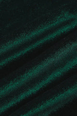 Joanna Velvet Midi Dress - View 12 | TEVQA