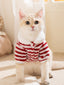 A cream-colored cat wearing a red and white striped fleece pet sweater with a white faux shearling collar, sitting indoors facing the camera.