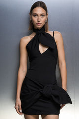 Daiki Black Mini Dress | Dress In Beauty