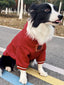 Border Collie dog wearing a red hooded sweatshirt with a graphic print, sitting on a paved path with colorful lines.