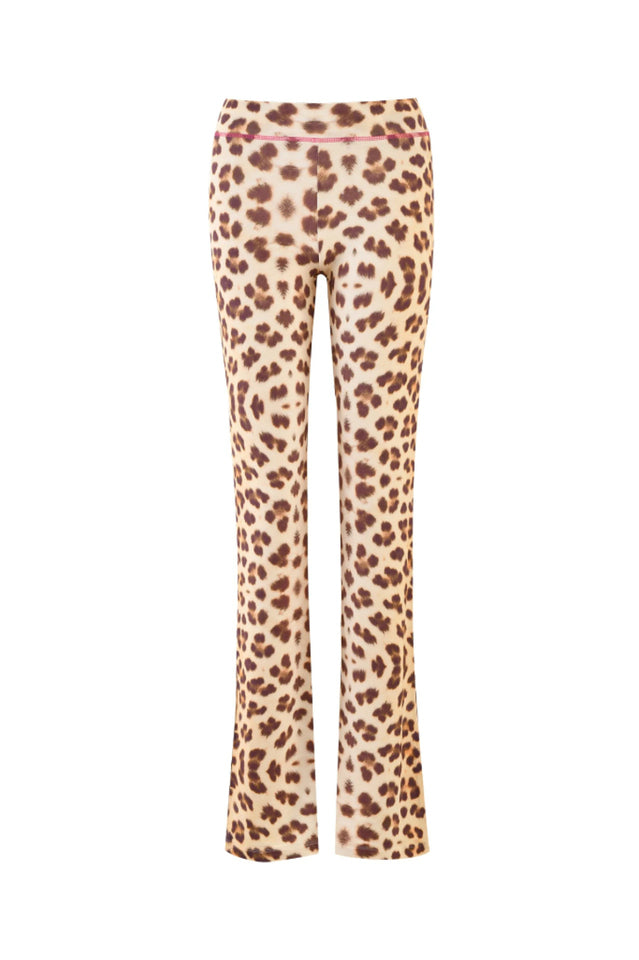 Blare Hoodie + Trackpant Set | Dress In Beauty