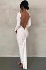 Camila Long Sleeve Maxi Dress - View 12 | TEVQA