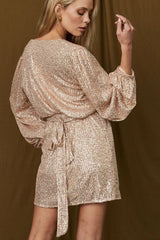 Sequin Puff Sleeve Mini Dress - View 9 | TEVQA