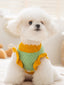 White Bichon Frise wearing a green and yellow knit dog sweater with ruffled trim.