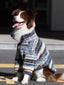 A brown and white Border Collie dog wearing a blue, yellow, and white striped fleece hoodie sits on asphalt, looking to the left with its tongue out.