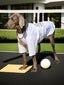 Weimaraner dog wearing a white t-shirt with a graphic print and silver chain, standing on a tan mat on a tennis court next to a tennis ball.
