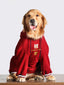 Golden retriever dog wearing a red hoodie with Chinese characters and the text "MADE IN CHINA"