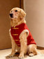 Golden Retriever dog wearing a red Chinese style vest with faux fur trim and gold frog buttons, sitting indoors.