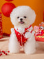 A white Bichon Frise dog wearing a red and white traditional Chinese style vest with gold cloud and character prints.