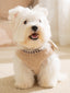 White dog wearing a tan fleece vest with embroidered bear appliques and a checkered trim.