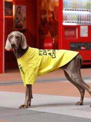 Yellow Graphic T-Shirt For Large Dogs Breathable Summer