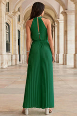 Pleated High Neck Jumpsuit | Dress In Beauty