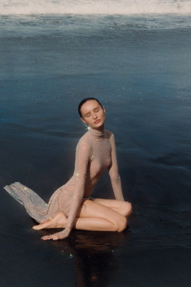 Crystal Nude Dress | Dress In Beauty