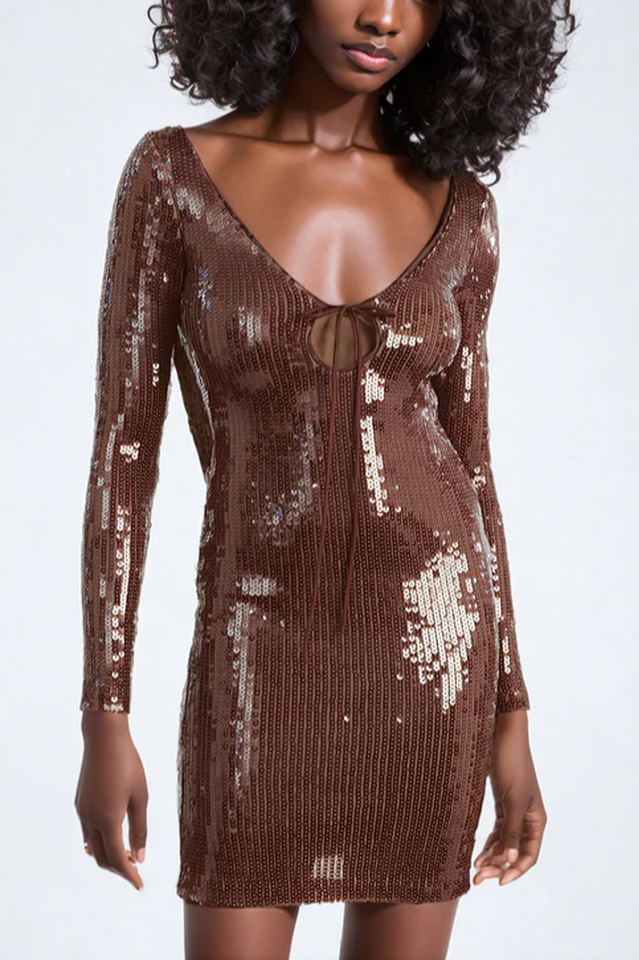 Aoibhe Long Sleeve Sequin Mini Dress | Dress In Beauty