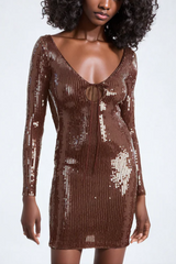 Aoibhe Long Sleeve Sequin Mini Dress | Dress In Beauty