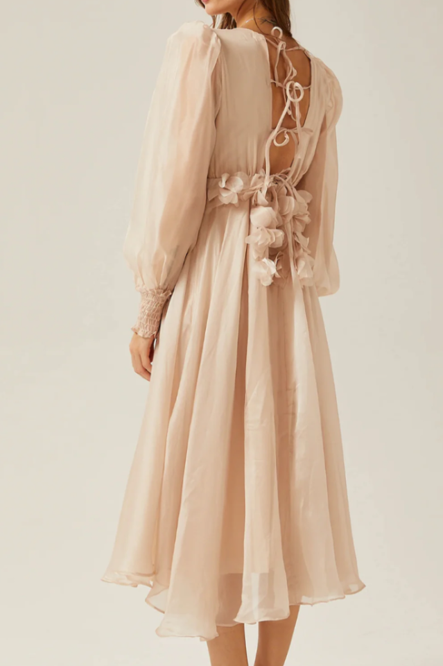 Floral Embellished Midi Dress | Dress In Beauty