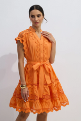 Livia Embroidered Lace Tiered Mini Dress | Dress In Beauty