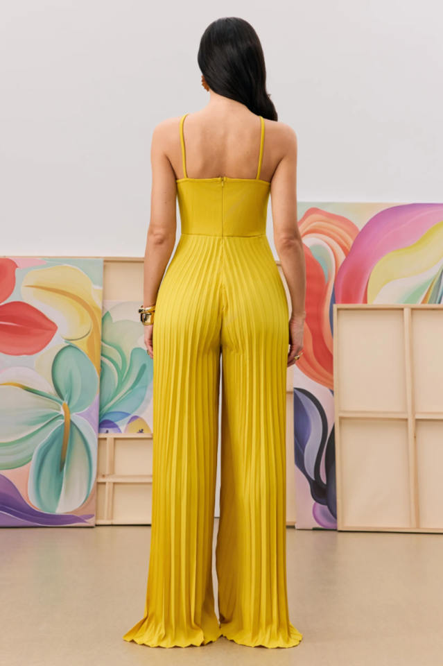 Jessica Flower Applique Pleated Jumpsuit | Dress In Beauty