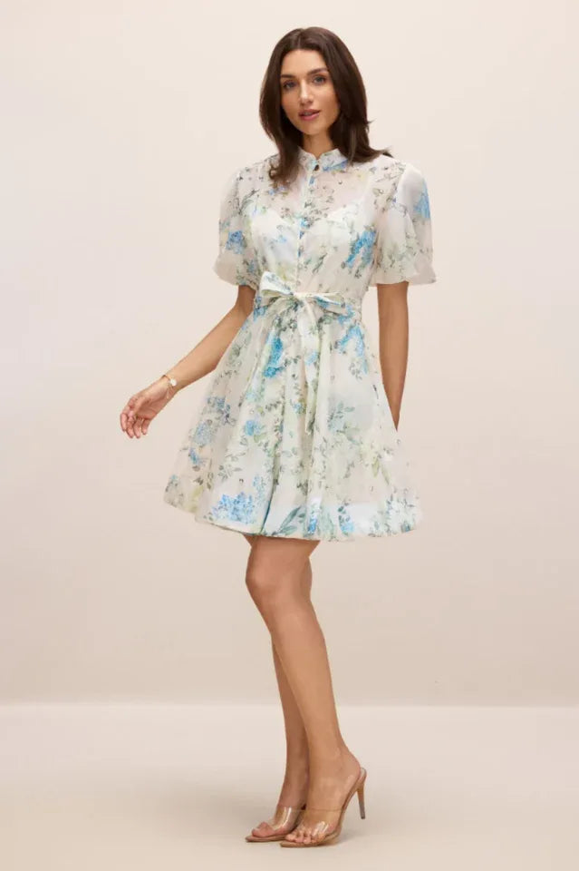 Caroline Floral Print Mini Dress - TEVQA