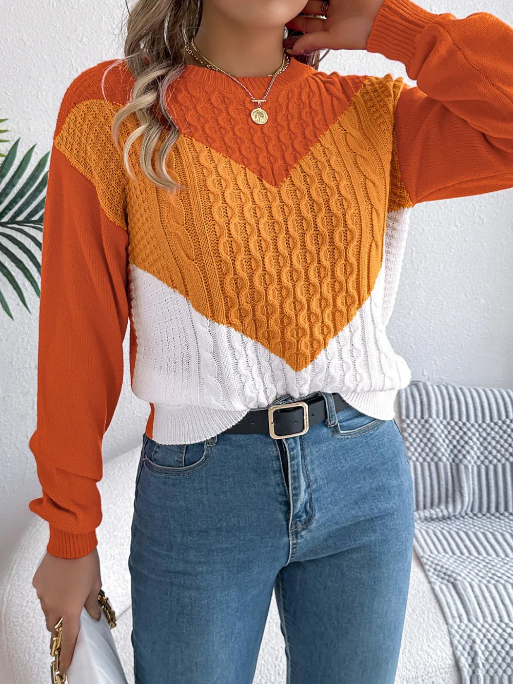 Colorblock cable knit sweater - View 11 | TEVQA