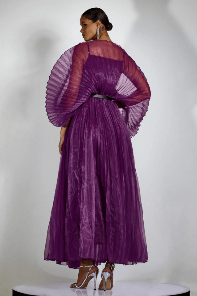 Amanda Semi - sheer Pleated Maxi Dress - Tevqa