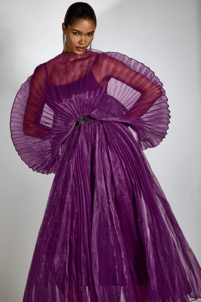 Amanda Semi - sheer Pleated Maxi Dress - Tevqa