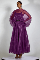 Amanda Semi - sheer Pleated Maxi Dress - Tevqa