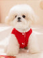 White fluffy dog wearing a red corduroy vest with white buttons