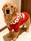 Golden retriever dog wearing a red fleece sweater with a ruffled collar and embroidered graphic