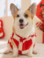 Corgi dog wearing a red and white checkered plush sweater with a festive design, sitting indoors.