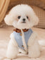 A white Bichon Frise dog wearing a light blue dog vest with white faux fur trim and a brown collar.