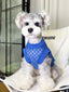 Miniature schnauzer wearing a blue checkered mesh knit dog sweater, sitting on a white chair.