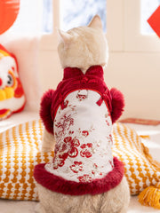 Rear view of a light-colored cat wearing a red and white traditional Chinese-style vest with floral embroidery and red faux fur trim.