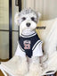 A small white dog with grey accents on its fur is sitting in a chair, wearing a black and white basketball jersey with "BULLS 23" on the front.