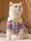 A white cat wearing a blue and red striped knit sweater with a collared neckline and lace-up detail.