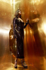 Hailey Long Sleeve Mesh Sequin Dress - Tevqa