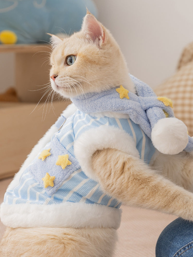 Side profile of a cream-colored cat wearing a light blue striped vest with white faux fur trim and yellow embroidered stars, and a matching blue scarf with stars and pom-poms.
