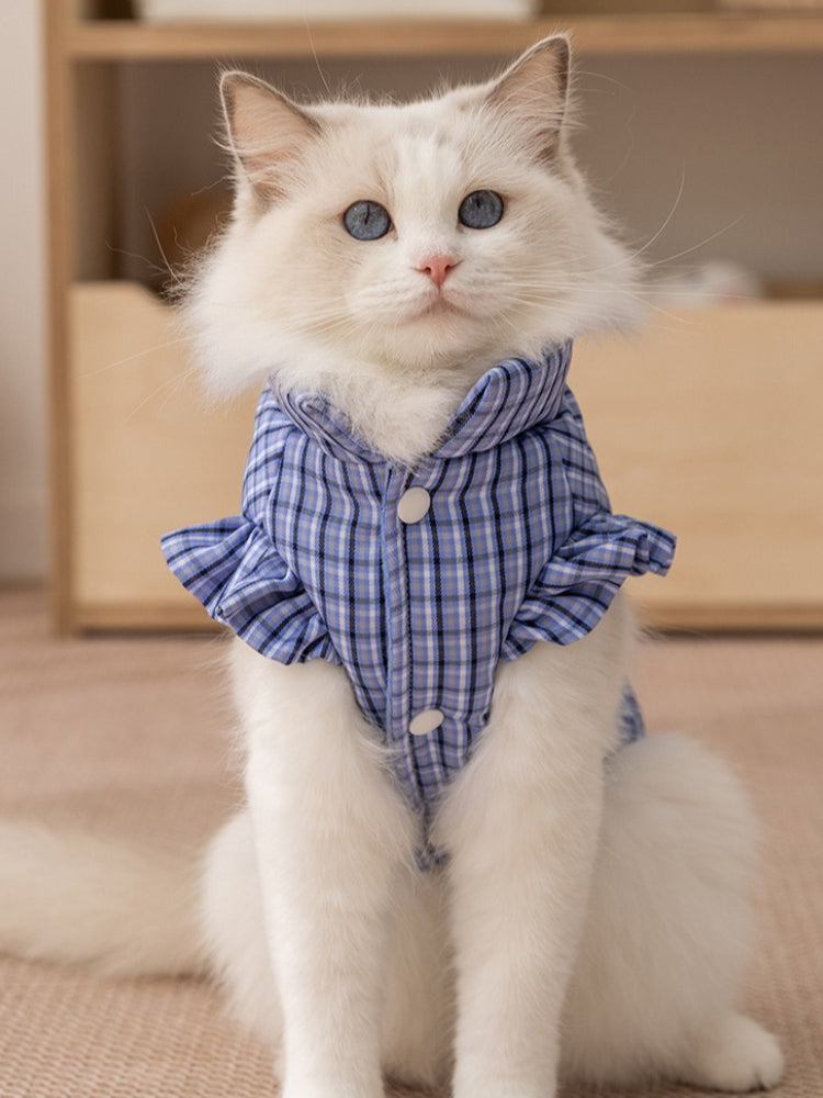 White cat wearing a blue plaid vest with ruffled sleeves and a high collar.