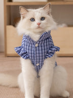 White cat wearing a blue plaid vest with ruffled sleeves and a high collar.