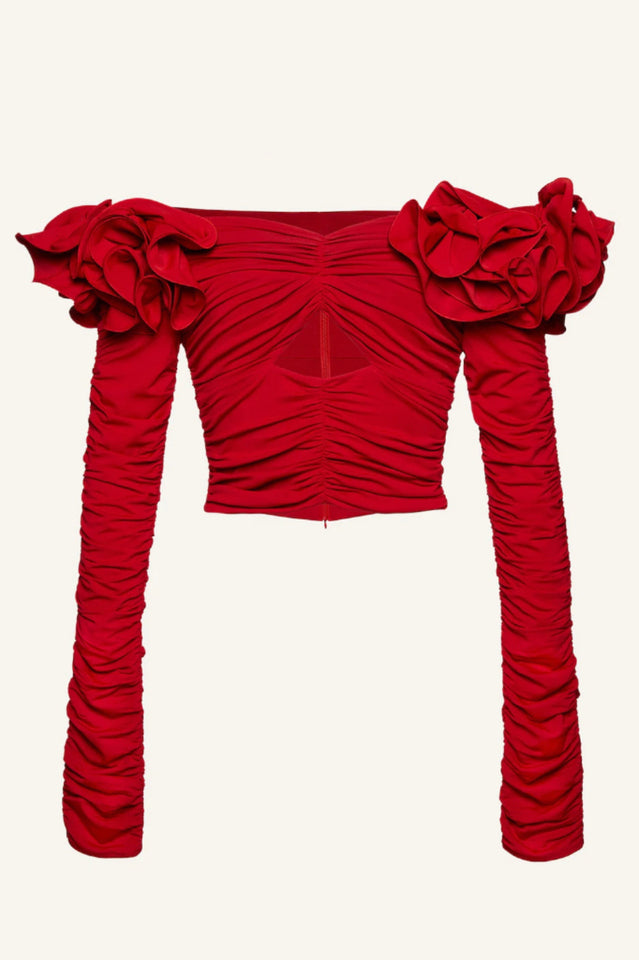 Floral Appliqu¨¦d Ruched Crop Top | Dress In Beauty