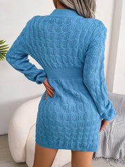 Back view of a woman wearing a blue cable knit mini dress with long sleeves and a mock neck.