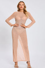 Nude Crystal Embellished Transparent Gown | Dress In Beauty