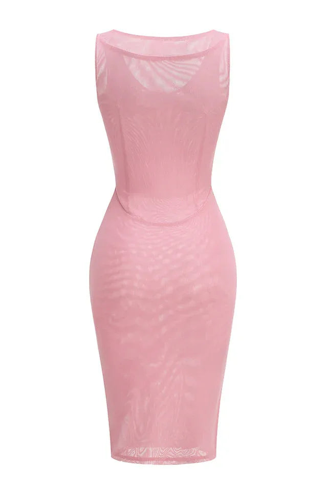 Back view of a pink mesh sheath dress showcasing its form-fitting silhouette.
